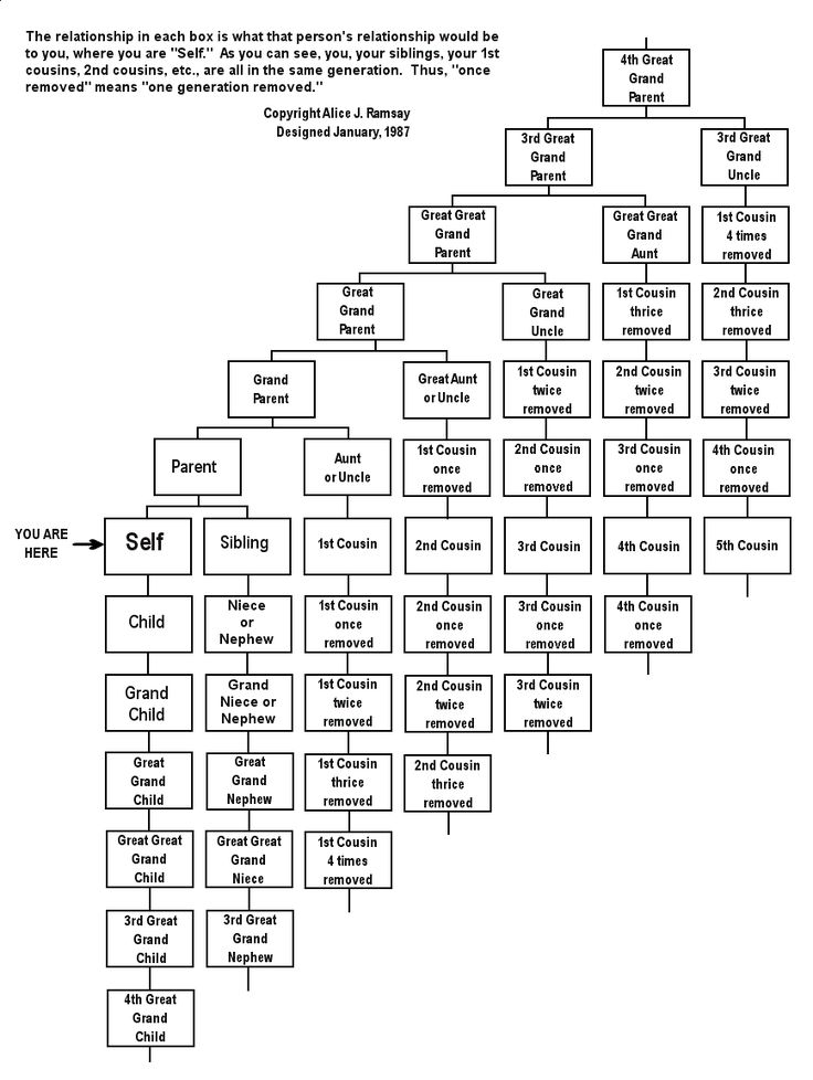 family tree